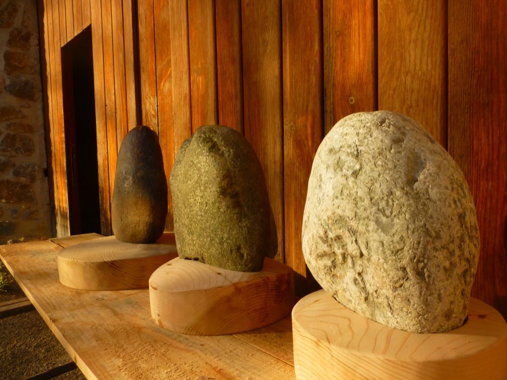 estudios geobiológicos Estudios geobiológicos