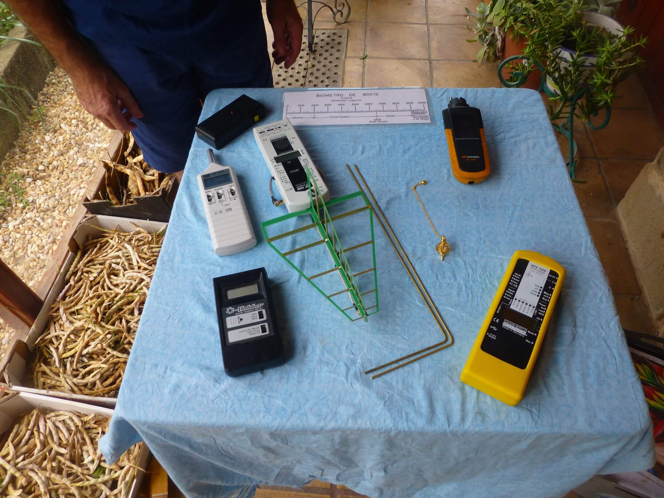 estudios geobiológicos Geobiología